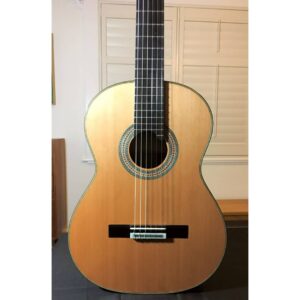 Domenic Roscioli Guitar Masterclass